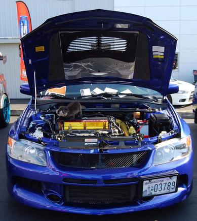 Darwin in the cleanest engine bay at the show Ryan.Kauz
