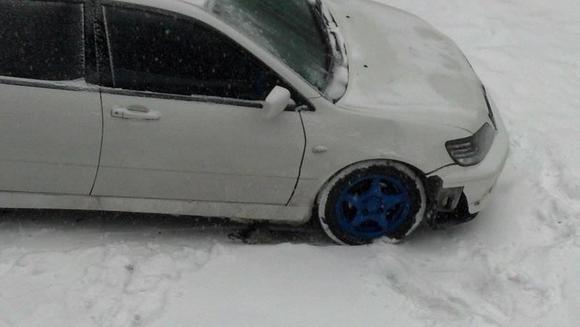 =(3 More after deer...