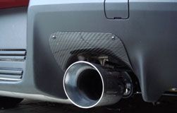 These are the Carbon Fiber Heat Shields sold by Mitsubishi in Japan or Europe. These may be the 500 UK Sterling ones. I don't think the stainless were sold in the UK.