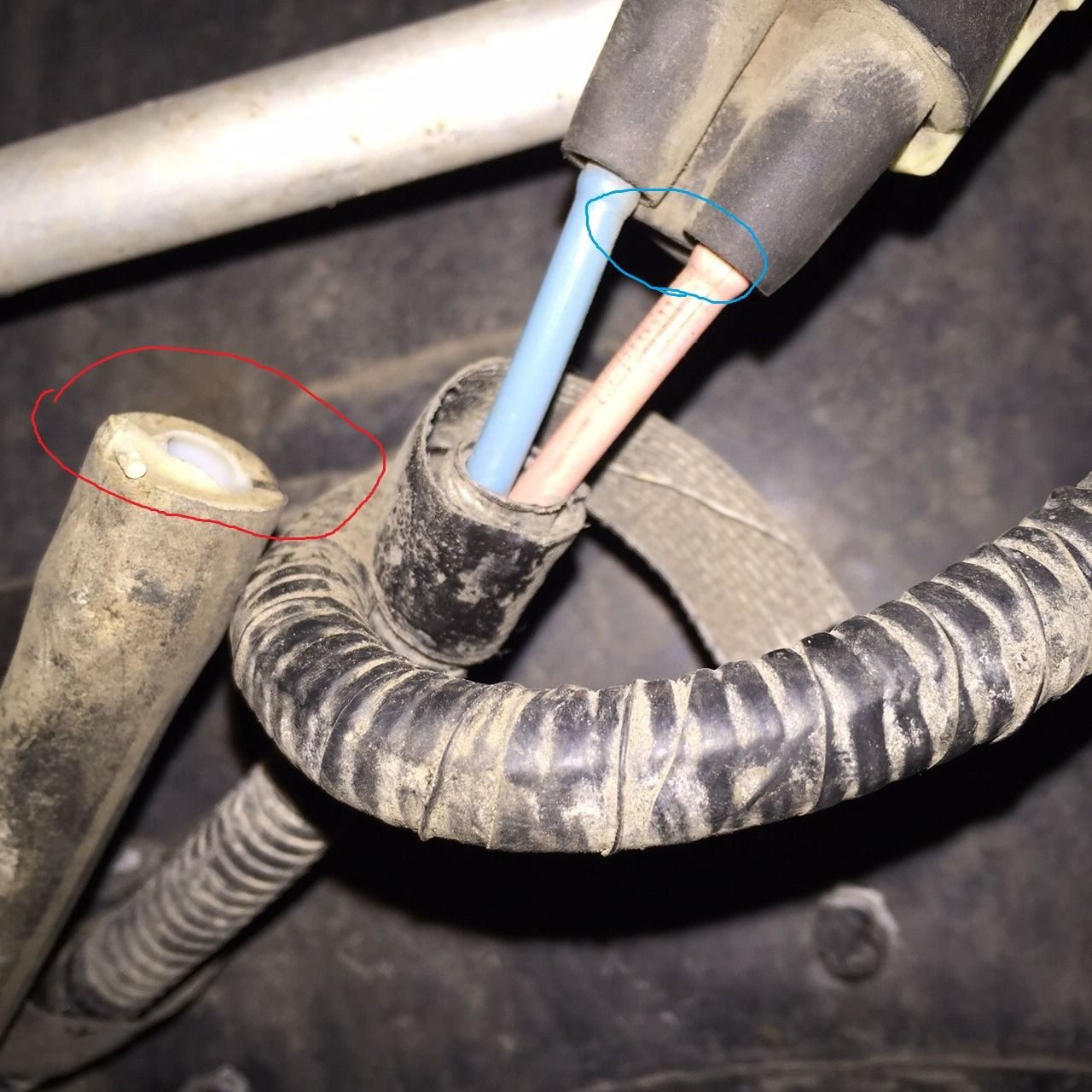 Name this vacuum hose...lol please Ford F150 Forum Community of