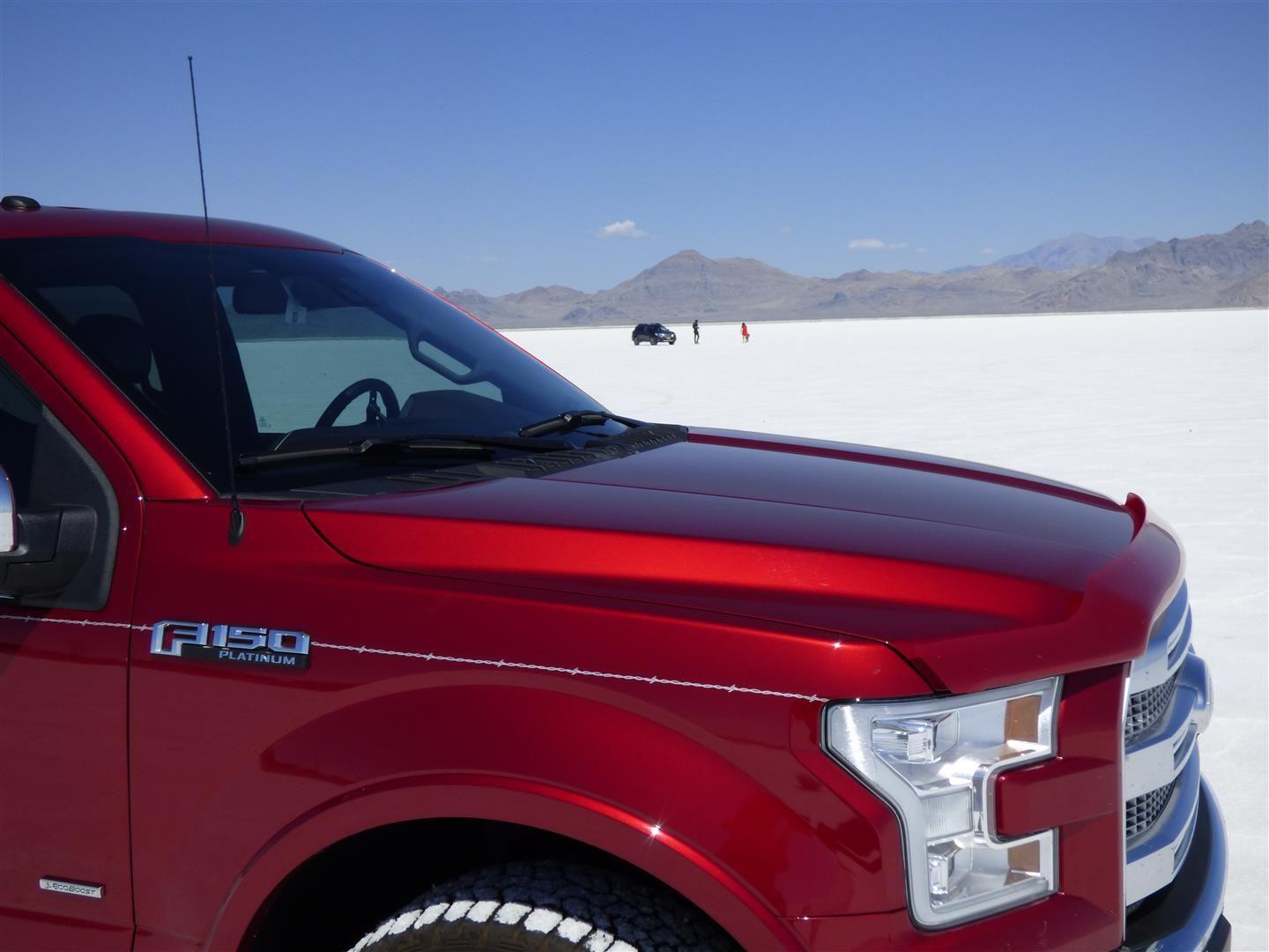 Adding a pinstripe to the truck? Ford F150 Forum Community of Ford