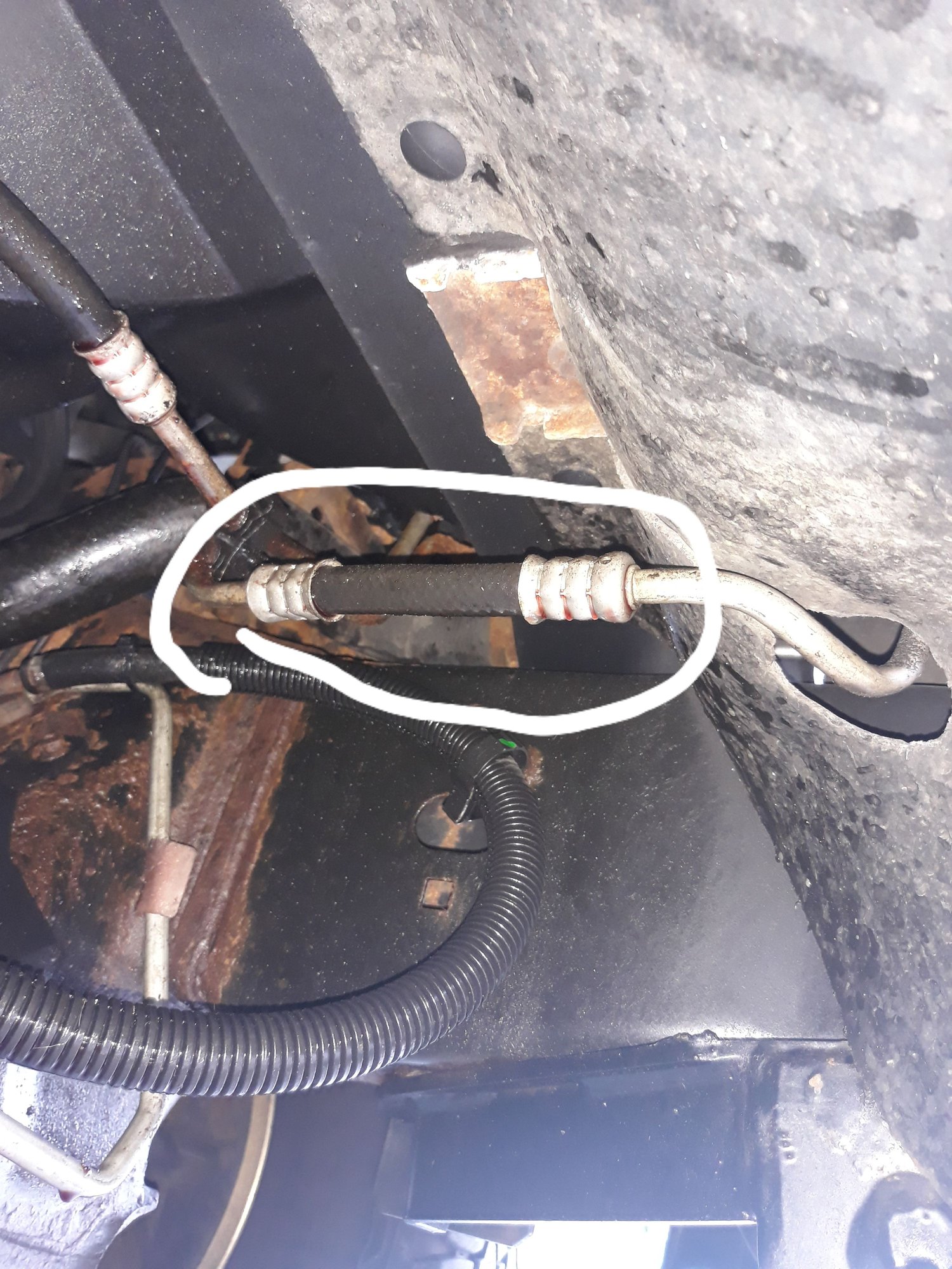 Leaking Transmission lines or power steering lines? Ford F150 Forum Community of Ford Truck Fans