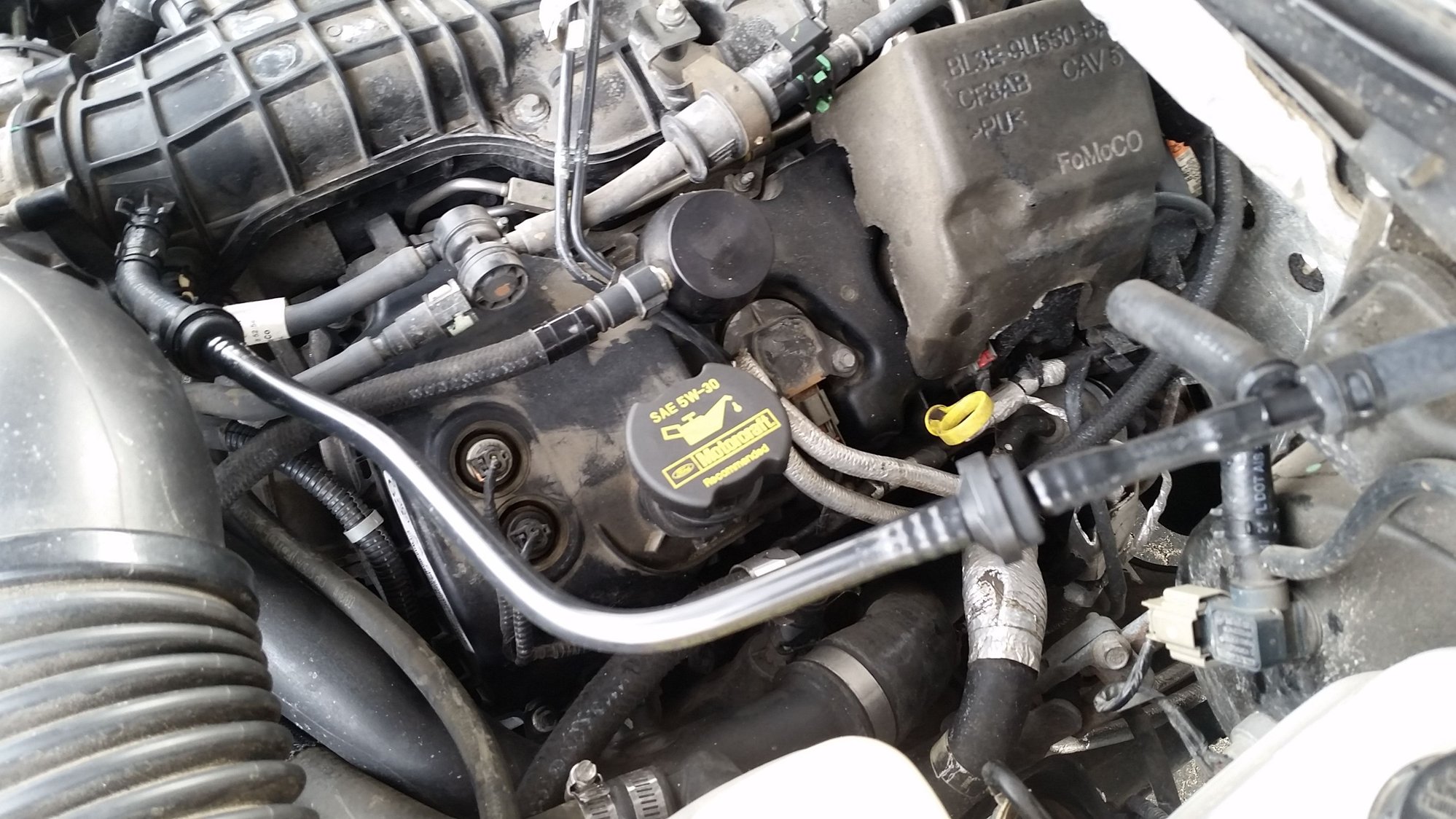 EcoBoost vacuum pump Page 21 Ford