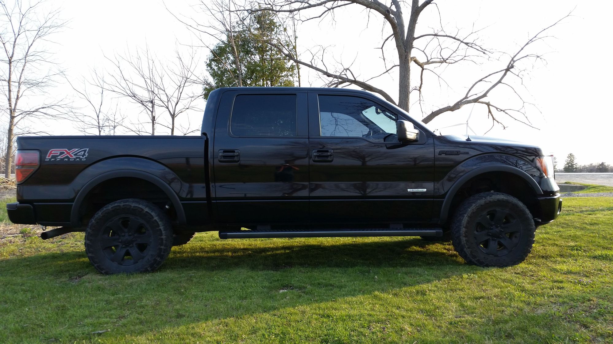 Lets see those Leveled out f150s!!!! Page 538 Ford F150 Forum