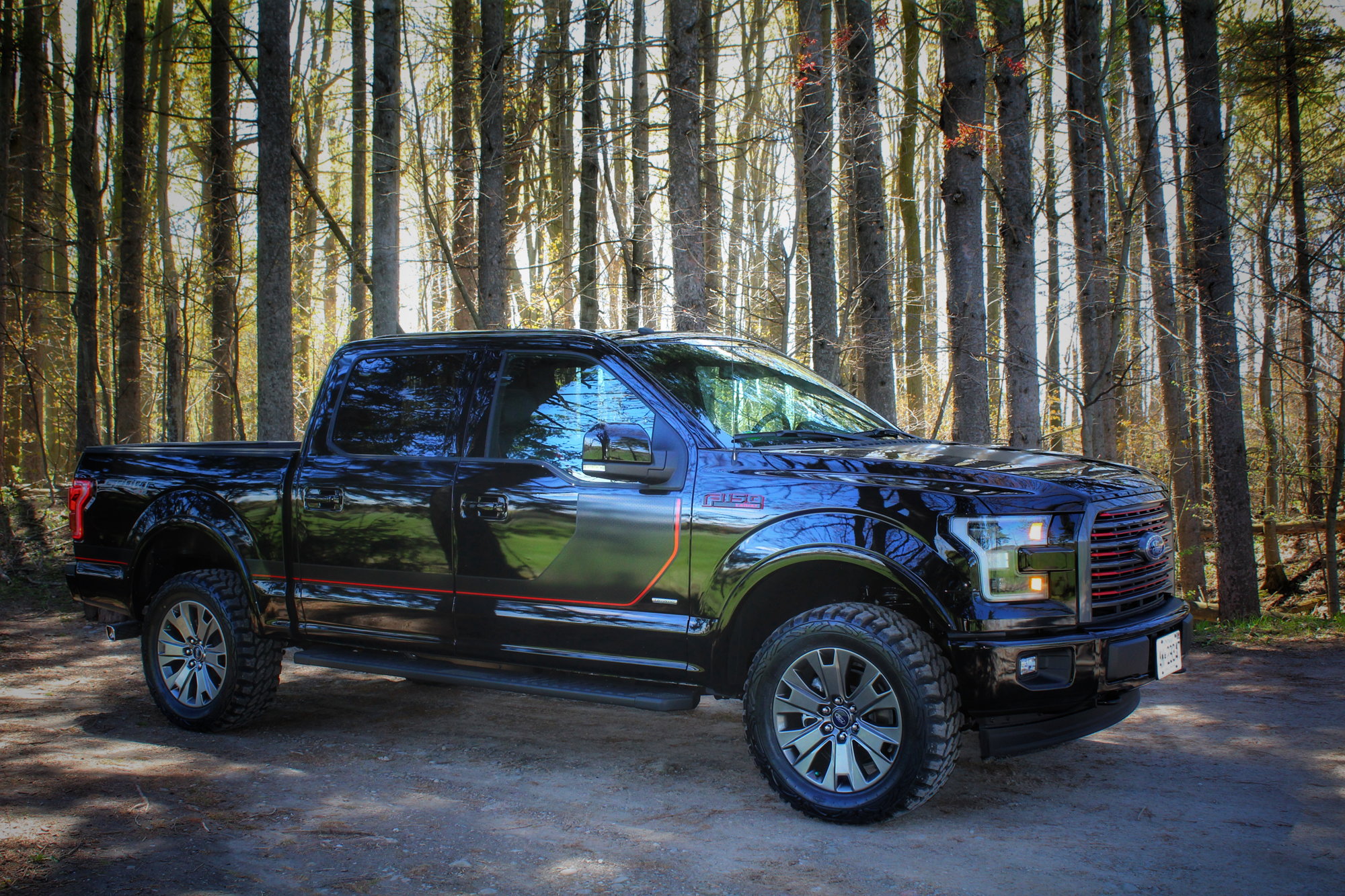 2017 F150 Lariat Special Edition Level Pics - Ford F150 Forum ...