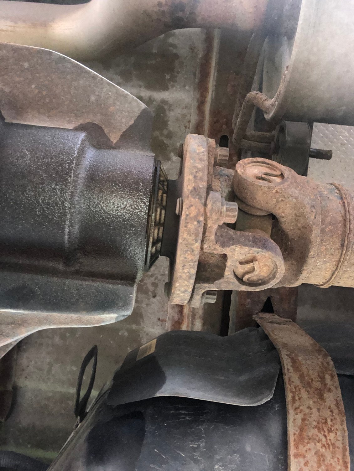 2011 F150 5.0 Leaking Rear Pinion Ford F150 Forum Community of Ford