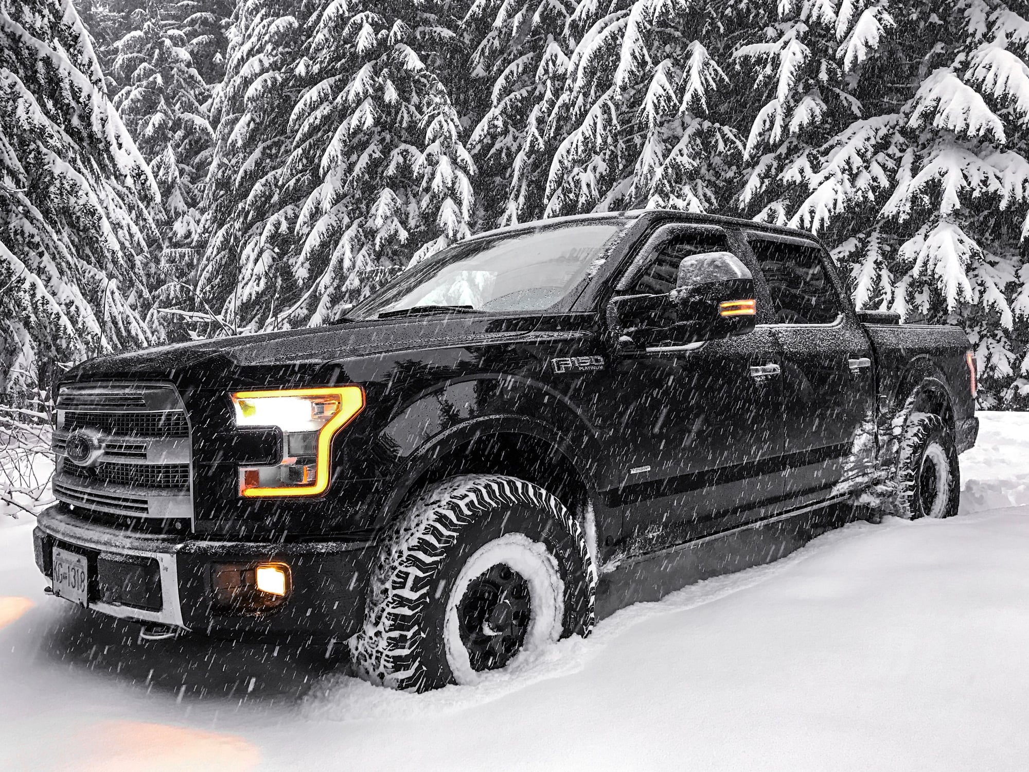 Snow Day with pics - Ford F150 Forum - Community of Ford Truck Fans