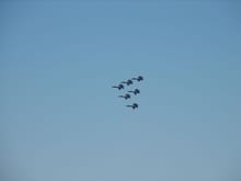 Blue Angels at the beach Memorial Day