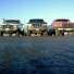 me and my buds trucks