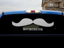Movember Support
