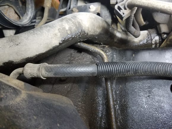 Leak coming from the end connected to the radiator