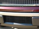 Lower Bumper Grille