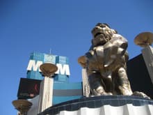 MGM Lion