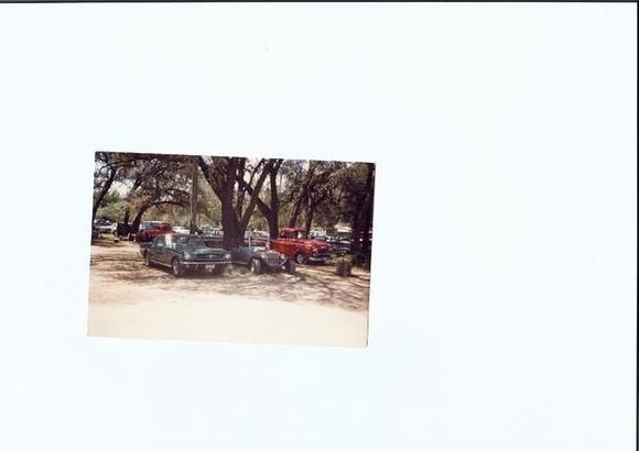 65 Must Buffalo Gap