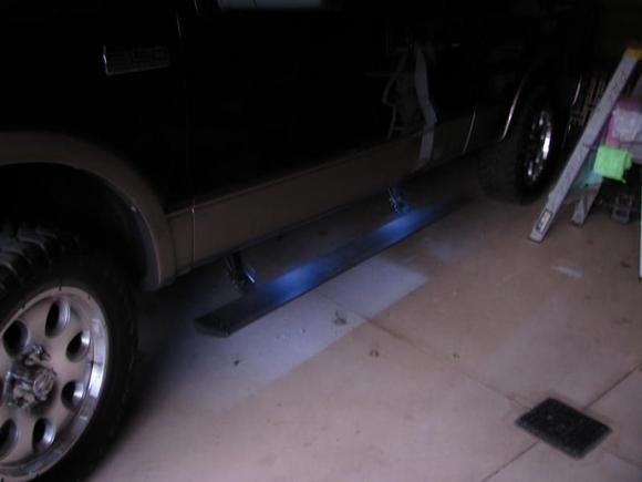 cat lights 011