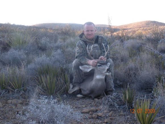 West Texas Desert Mule Deer (2009)