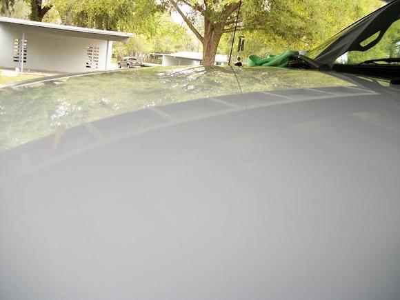 reflection of the carport roof across the hood