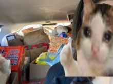 local school did a food drive for the community fridge!