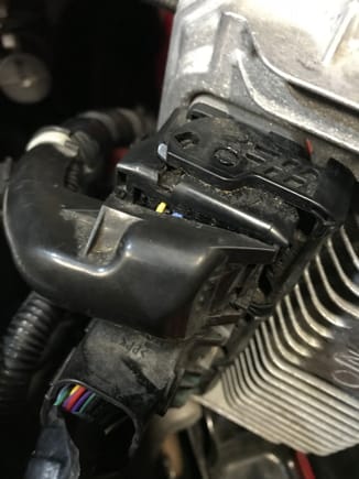 These go together like Lego's and there should not be wire showing.  They fit so tightly that there is no way this was caused by me or the so-called Honda mechanic.  Just fuel on the fire as I feel let down.