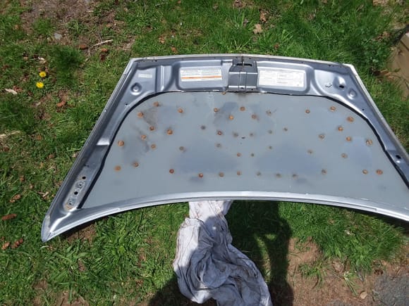 Hood after removing 2.6 lbs of steel.
