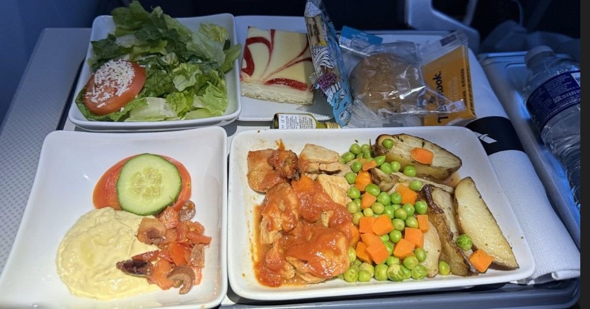 The BBQ chicken was pretty meh.  That's hummus in the lower left of the tray, but with no butter and no proper pita bread, I dipped my lackluster roll in it.  I should've rolled the dice with the AVML and may do it when I take this flight in February if I don't like the options.