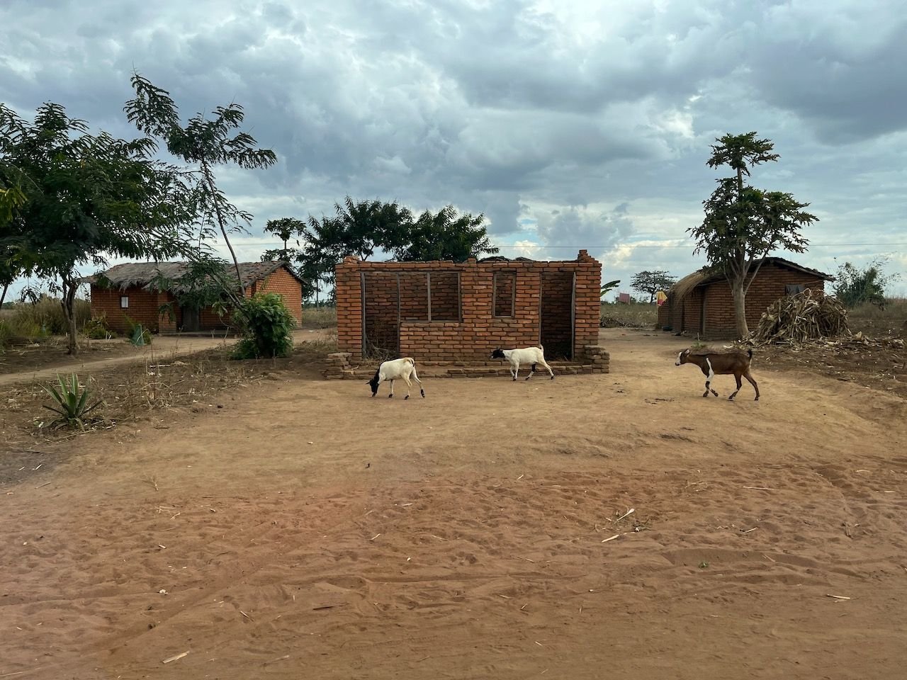 Rural Malawi for contrast