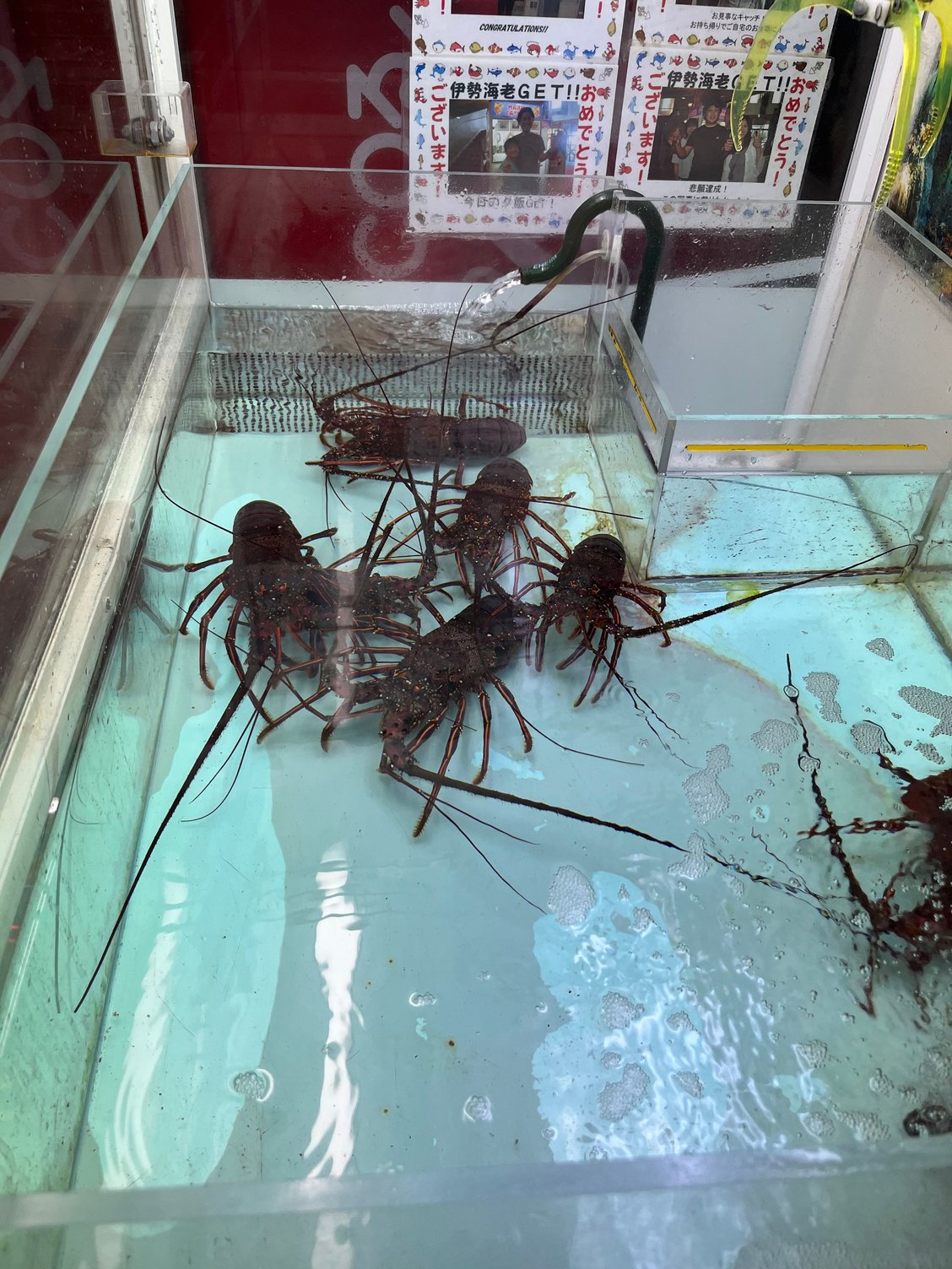 Japan's amazing and unique vending machines - FlyerTalk Forums