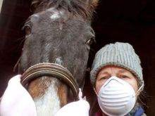 Daughter-in-law with one of her horses