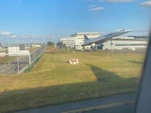 Passing by KL flagship aircraft… oh wait, wrong airline.