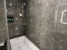Tub with shower