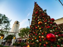 At least the Christmas tress is pretty. Yes, its a Christmas tree. 