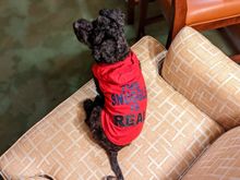 For those that a bit squamish to say " the snuggle is real"

Here the photo to show reception upon checkin....