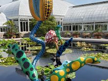 Kusama