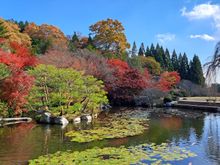 upper pond/lake at Sankeien garden
