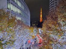 View of Keyakizaka Street Roppongi Hills  from the overhead walkway with tokyo  tower in the distance. Traffic guards controlling the pedestrian crossing flow across the road
