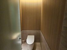 The "space toilet" as I called it (the lid automatically raised upon entering)