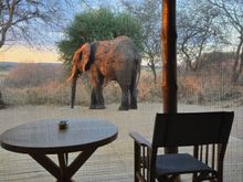 Oliver Camp, Tarangire National Park, Tanzania
