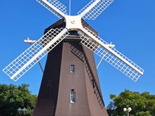Turning dutch style windmill and rest area. Grass area barren at the moment but would be beautiful in May when the tulips reportedly bloom here