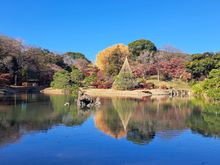 Rikugien garden