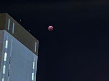 September 2025 lunar eclipse over Hobart, Tasmania taken at 04:11 local time; max totality. Picture cropped from original from iPhone 13 mini.