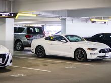 #Mustang GT and Challenger R/T