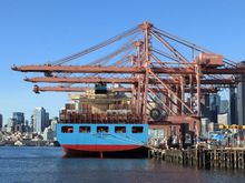 Docks activity