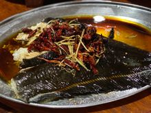 Freshwater tapah ( catfish family ) 