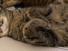 Fred really needs to learn how to relax.