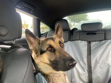 Not thrilled that he isn’t coming with us