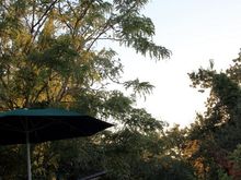 Evening at Goat Hill House