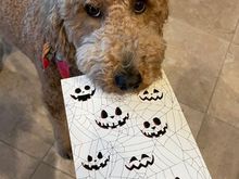 Poppy showing her Halloween card that her vacation sitter sent her!