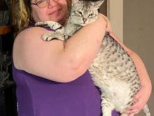 As of today, I’ve lost an Anpu worth of weight.