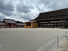 Imperial Palace Trees