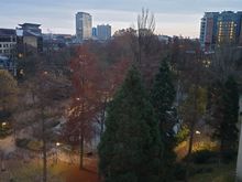 View from the room
